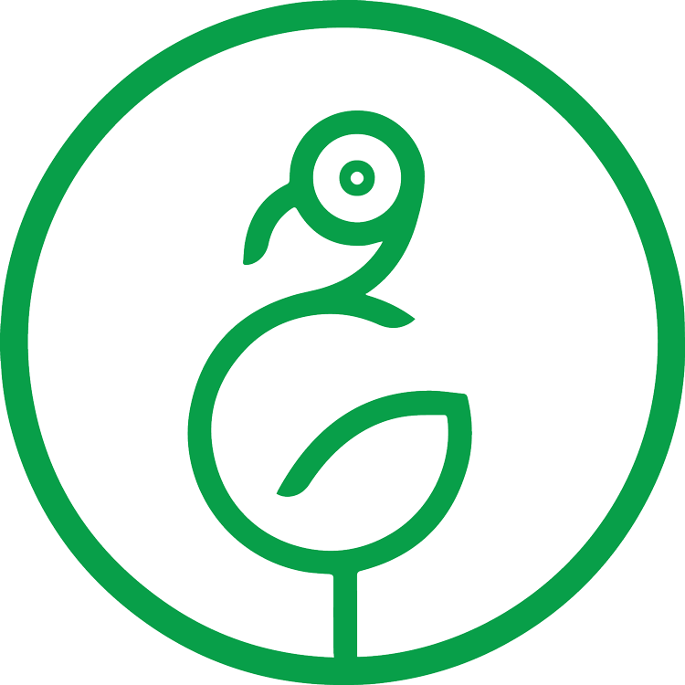 Responsive Web Design